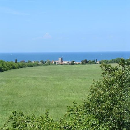 Apartmani Ritosa Novigrad  Екстер'єр фото