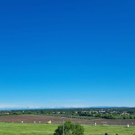 Apartmani Ritosa Novigrad  Екстер'єр фото